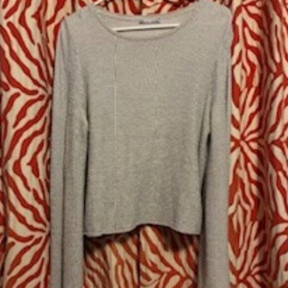 ZARA Top, Light Gray with Bell Sleeves sits at waist, Cotton Rayon blend, Small - Picture 2 of 9